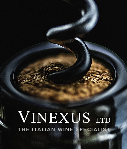 Vinexus Ltd.