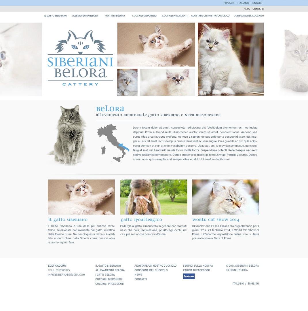 Siberiani Belora - 2